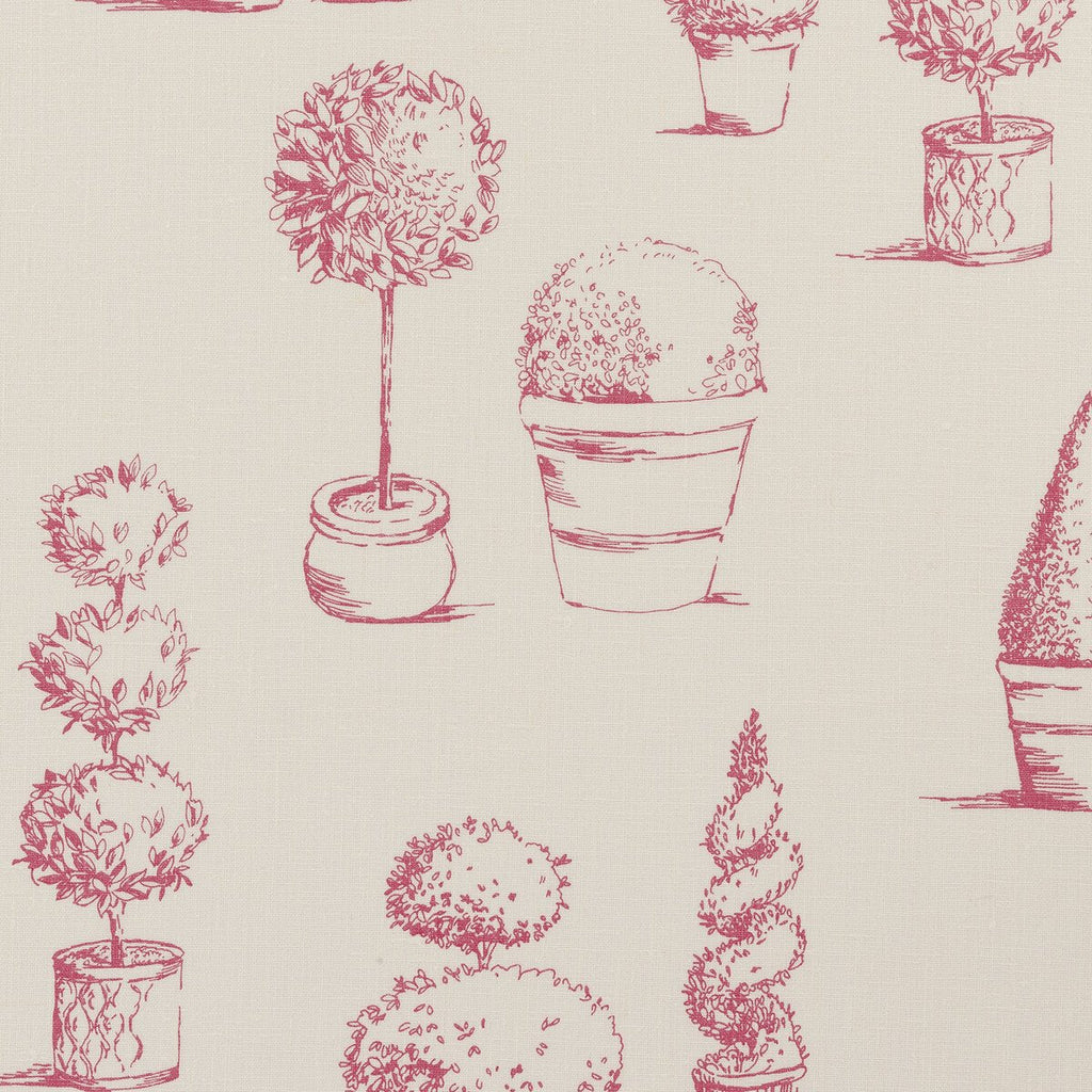 Topiary - Raspberry