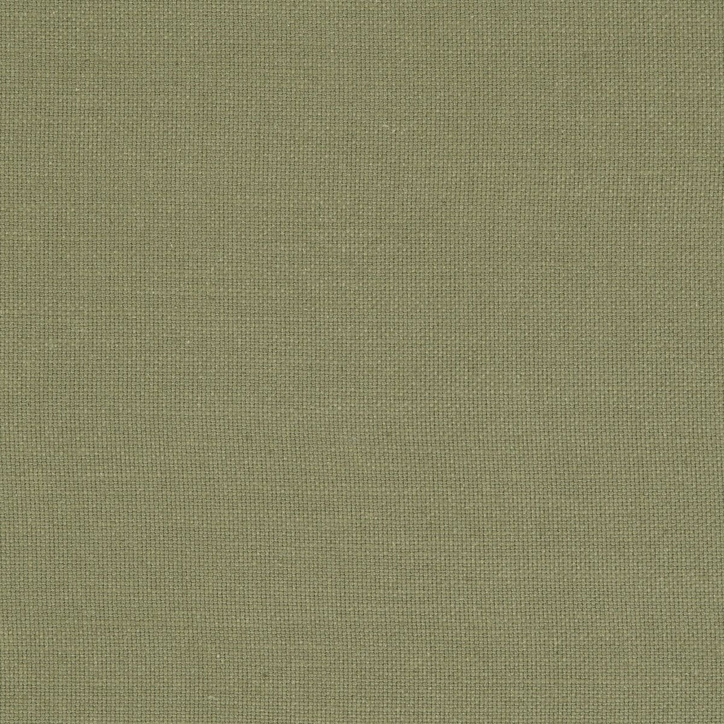 Nantucket - Olive