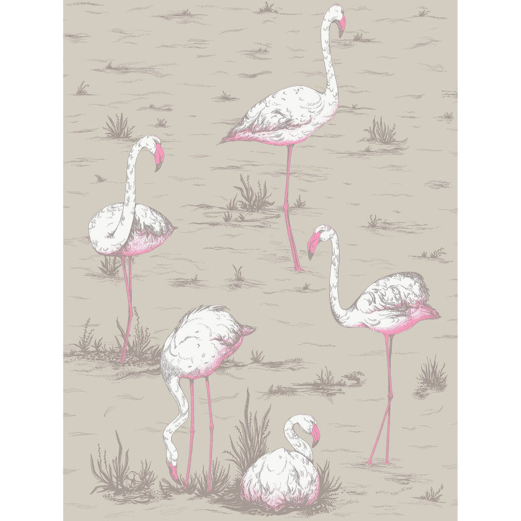 Flamingos - Wht/Fuch On Tup