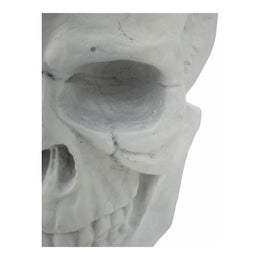 Skull Statue, White