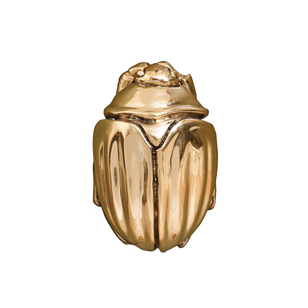 Beetle Knob In Brass