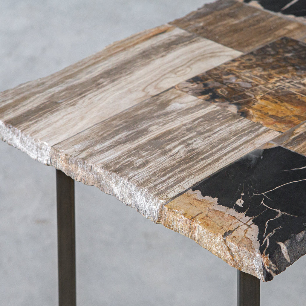 Iya Petrified Wood Console Table