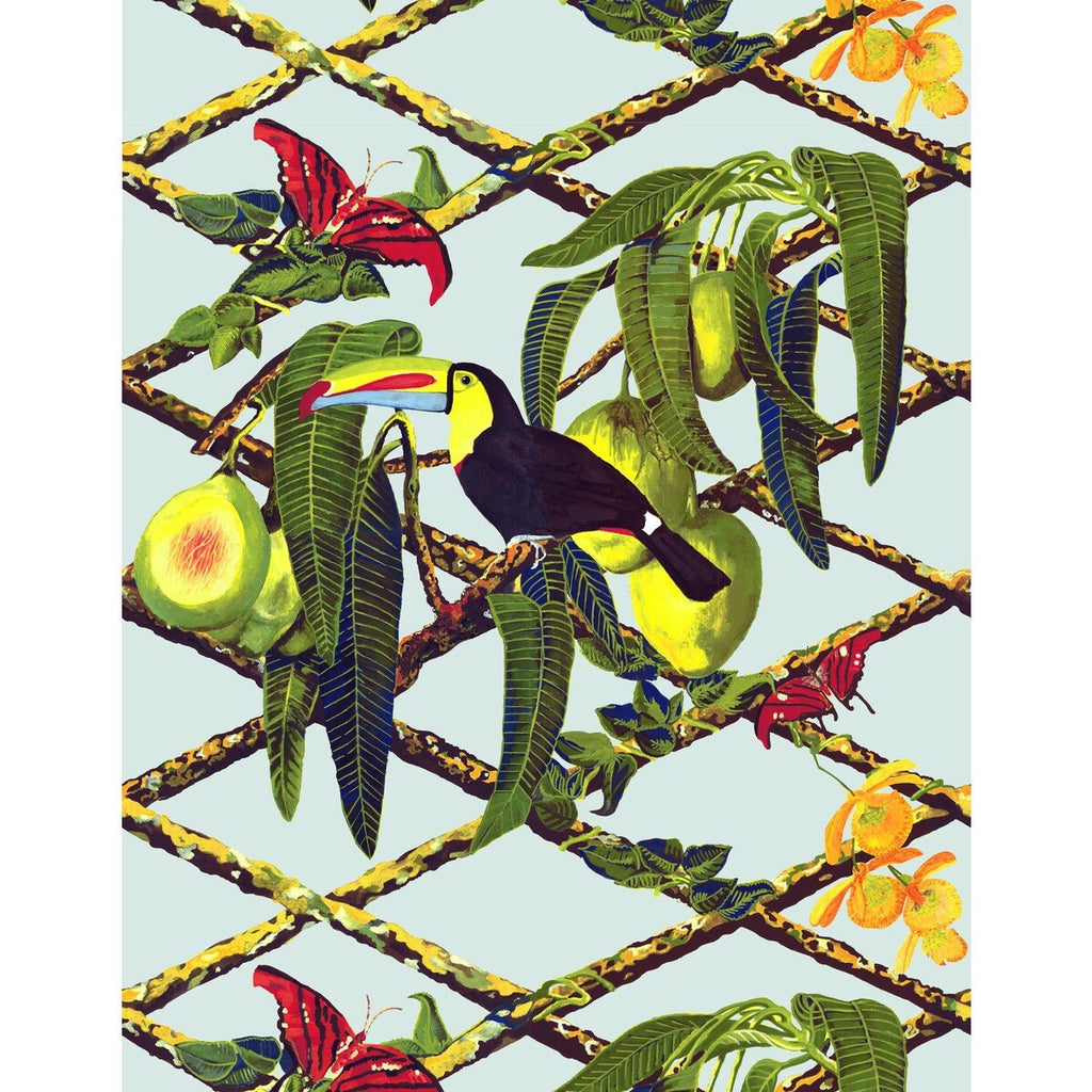 Tucan - Original - GDW5453.001.0