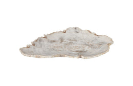 Petrified Wood Plate, Assorted Color and Shape, SM