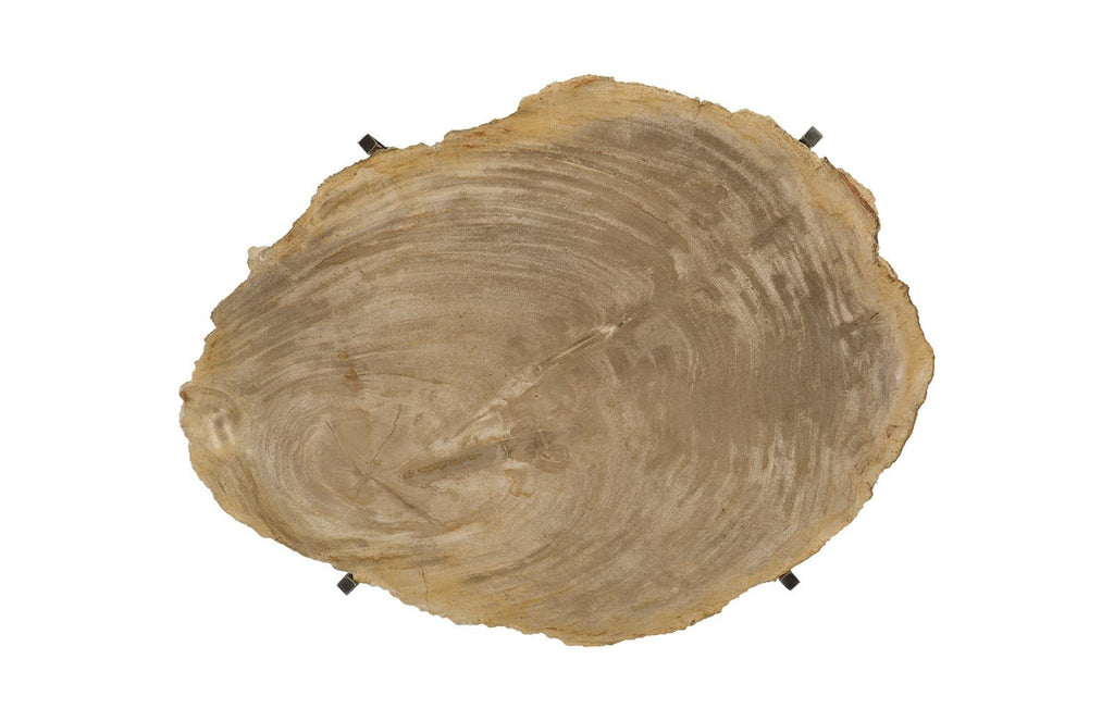 Petrified Wood Tray, Stainless Steel Base, Assorted Styles and Sizes