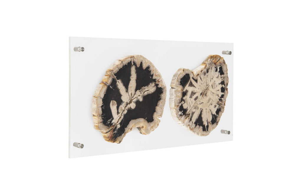 Floating Petrified Double Slice Wall Art