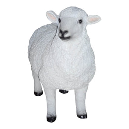 Dolly Sheep Statue, White