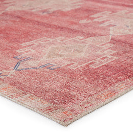 Vibe by Jaipur Living Evadne Medallion Pink/ Blue Runner Rug