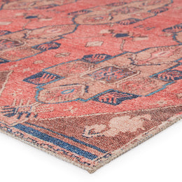 Vibe by Jaipur Living Lani Medallion Pink/ Blue Runner Rug