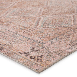 Jaipur Living Marquesa Trellis Light Pink/ Blue Area Rug