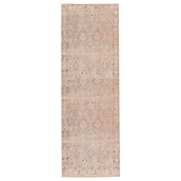 Jaipur Living Marquesa Trellis Light Pink/ Blue Runner Rug