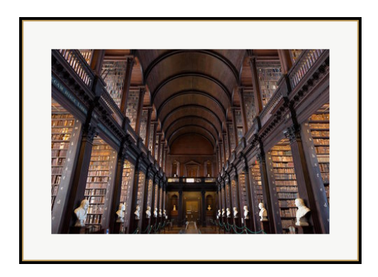 Library At University In Ireland, Library By F. Koherl On Rag Paper