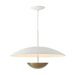 Floyd Pendant Light