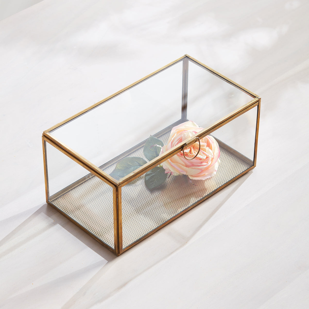 Arwen Rectangular Display Box