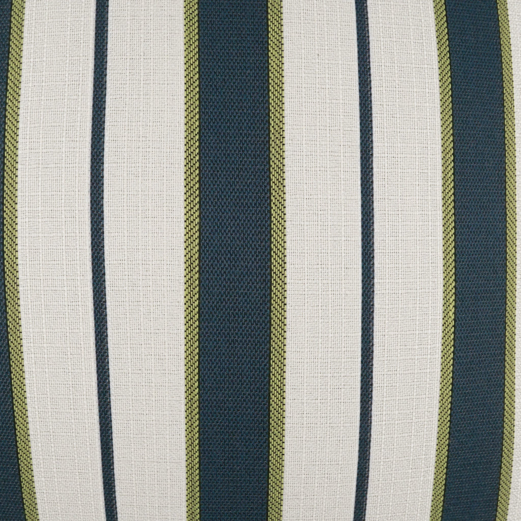 Paruani Lumbar Outdoor Pillow