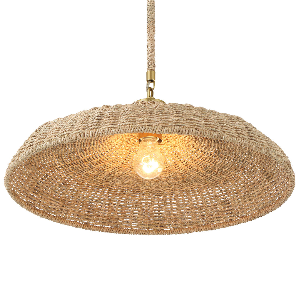 Odessa 1 Light Pendant