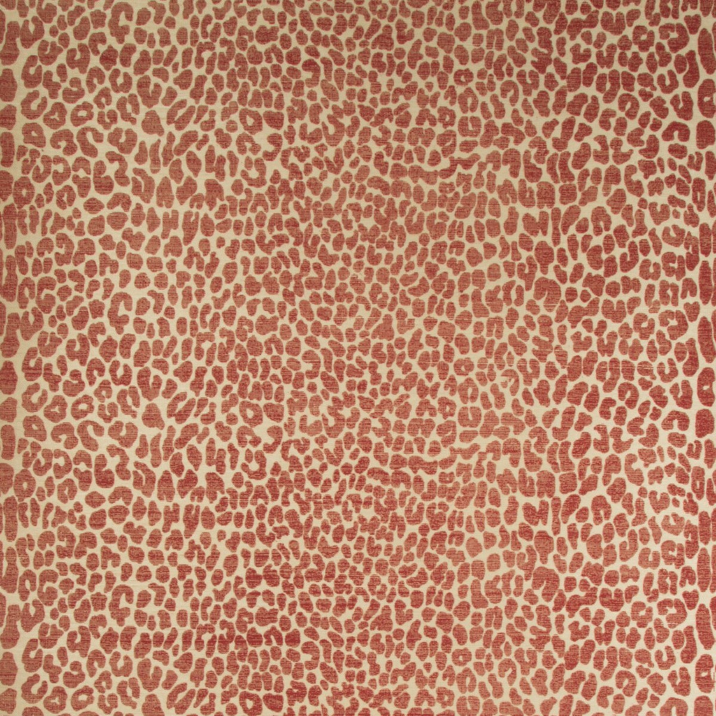 Ocicat Paper - Red