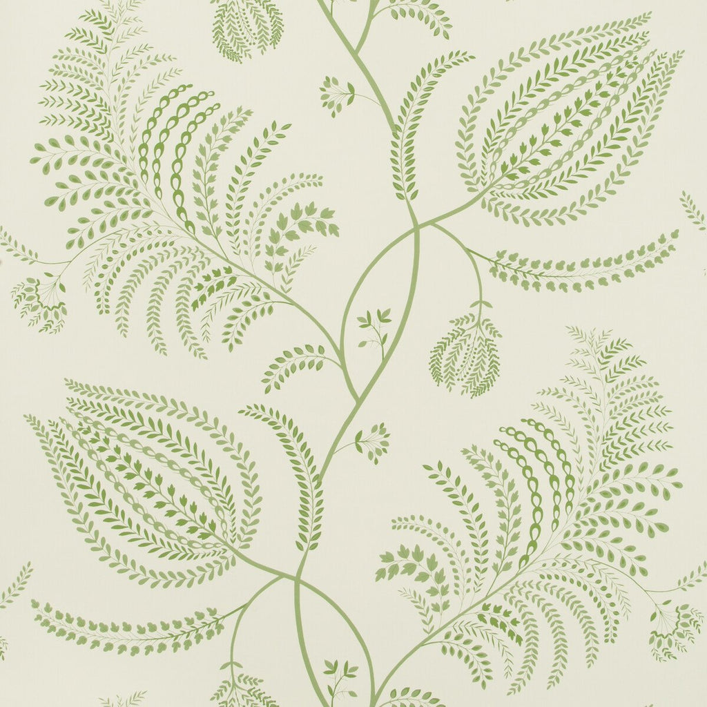 Palmero Paper - Leaf