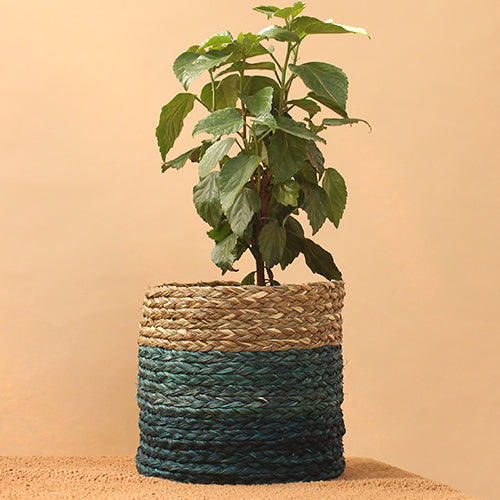 Babui Eco Pot   Indigo