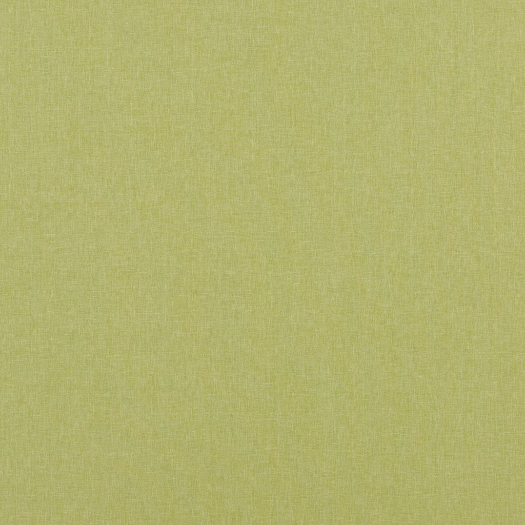 Carnival Plain - Lime