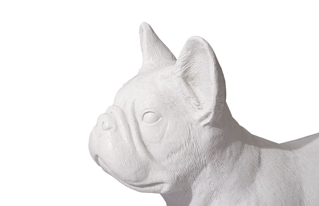 French Bulldog, Gel Coat White