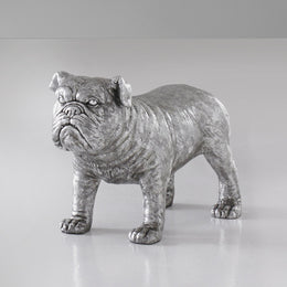 Bulldog, Silver Leaf