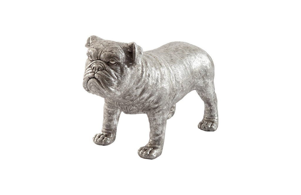 Bulldog, Silver Leaf