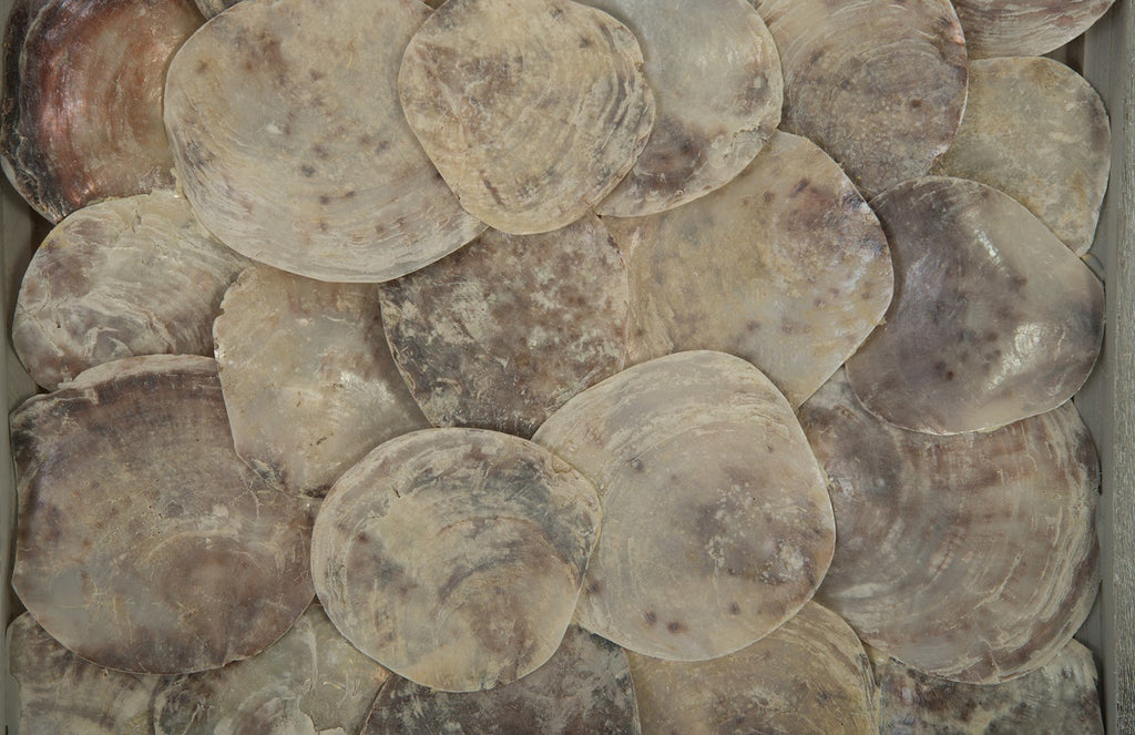 Shell Wall Tile, w/Glass