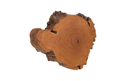 Burled Root Wall Art, Faux Bois, SM