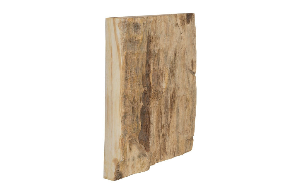 Cast Petrified Wood Wall Tile, Resin, Square