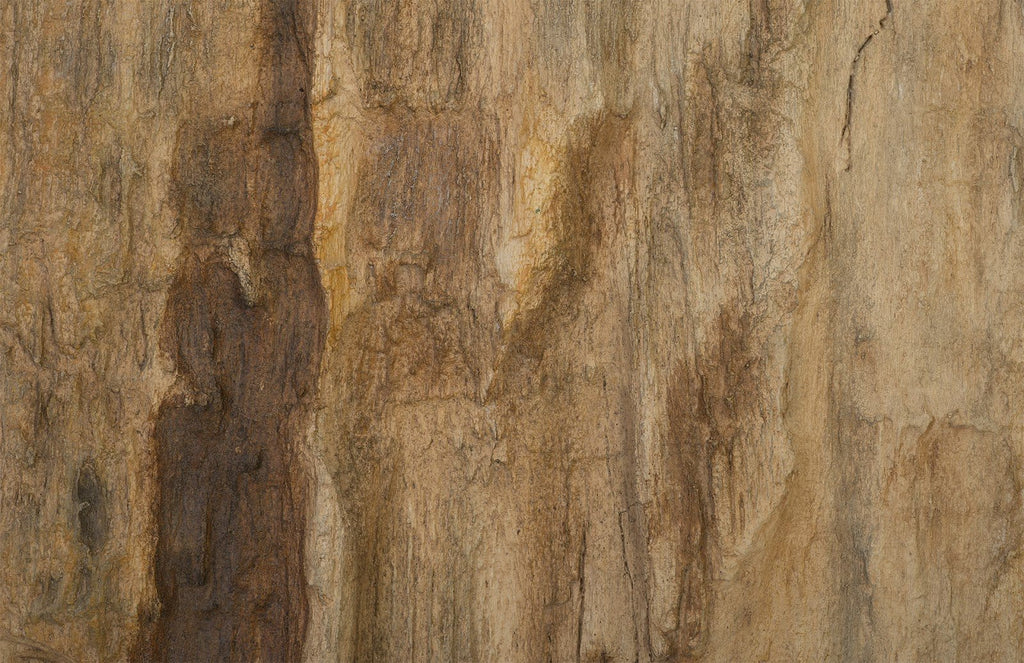 Cast Petrified Wood Wall Tile, Resin, Square