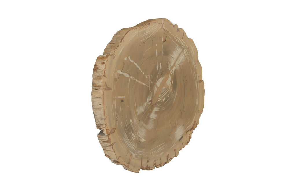 Cast Petrified Wood Wall Art, Resin