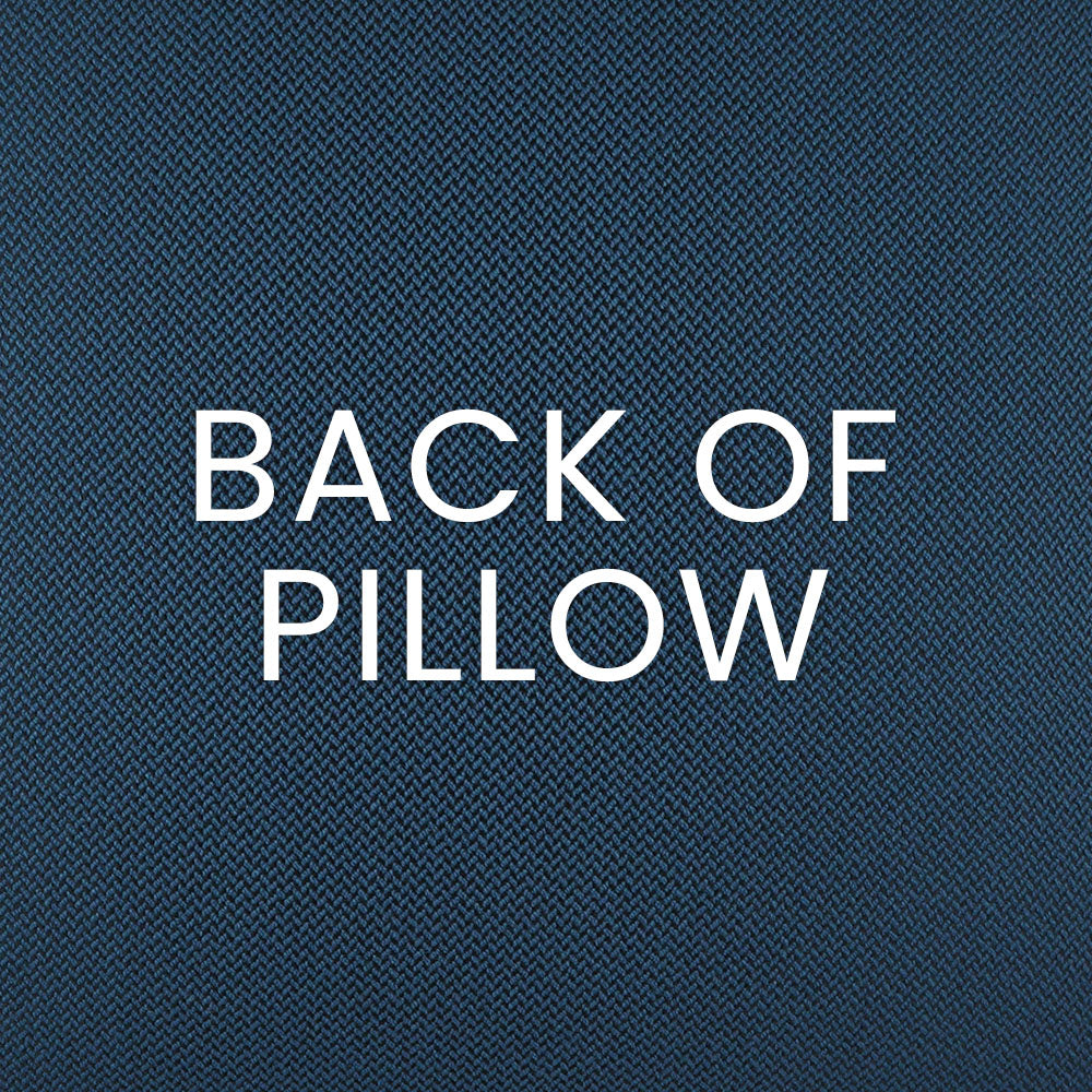 Prudy Lumbar Outdoor Pillow