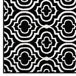 Frame Transitional Moroccan Trellis 5x8 Area Rug in Black and White