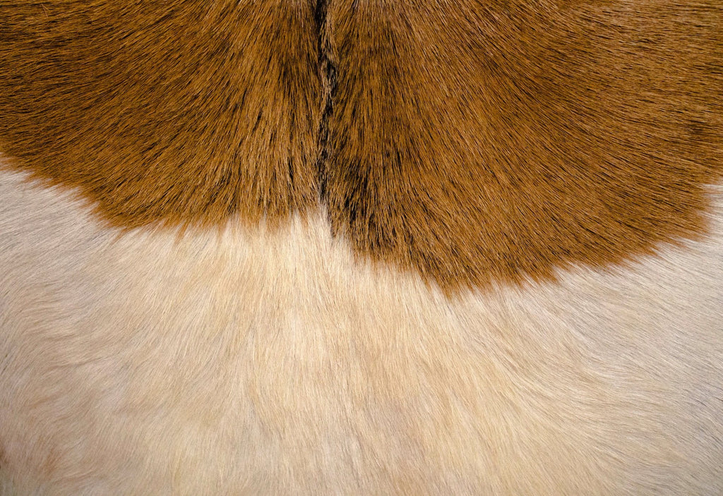 Rio Cool Armchair - Brown Mindi Oak, Leather/Goat Hair