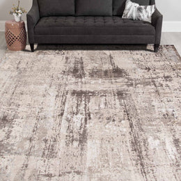 Cameri Silver 7 X 10 Rug