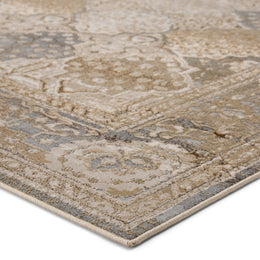 Vibe by Jaipur Living Hadwin Oriental Gray/ Gold Runner Rug