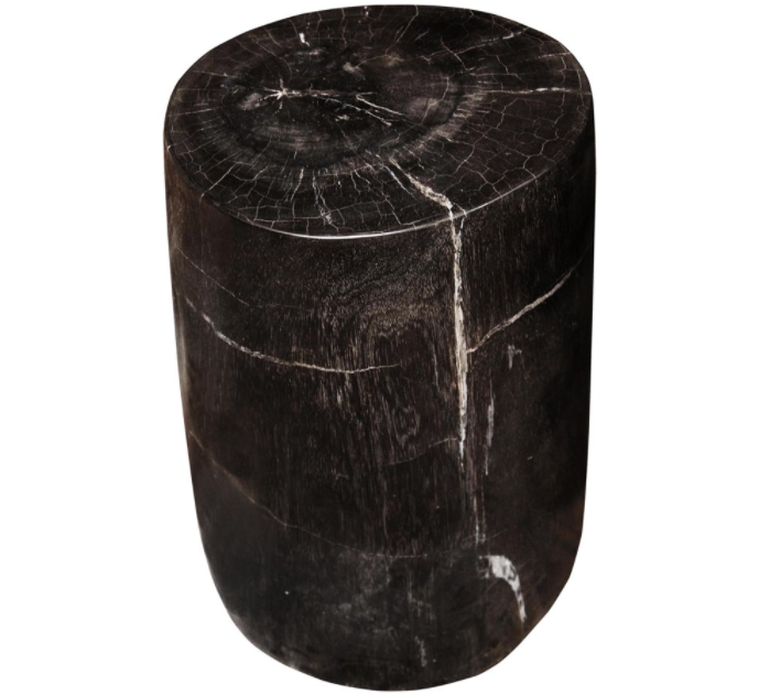 Full Polished Fossil Stool