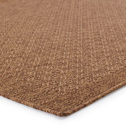 Vibe by Jaipur Living Maeva Indoor/ Outdoor Bordered Light Brown Runner Rug