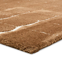 Tazeka Area Rug, TAZ01