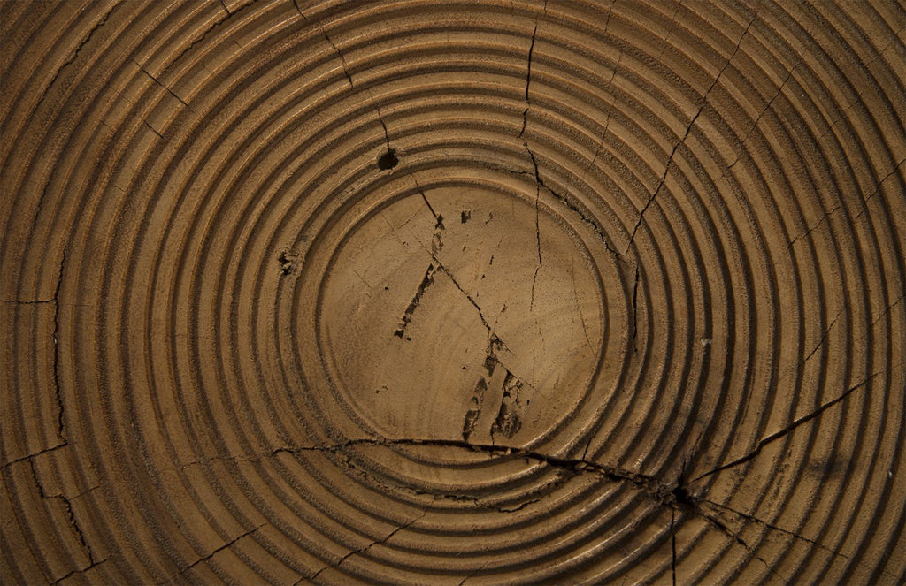 Lathe Side Table, Chamcha Wood