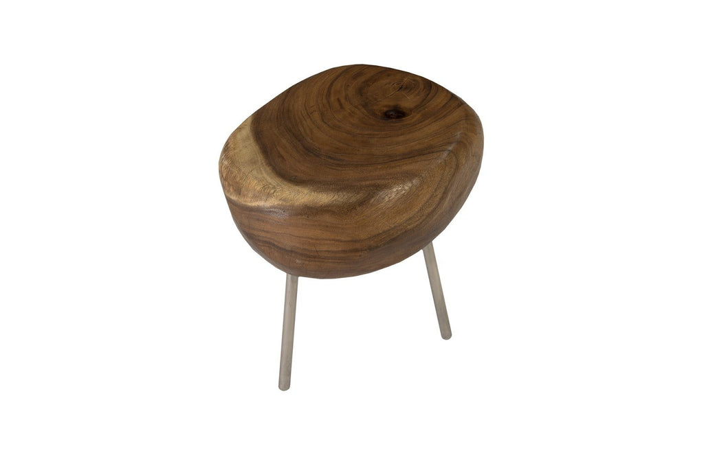 Smoothed Stool with Brushed Stainless Steel Legs, Chamcha Wood, Natural