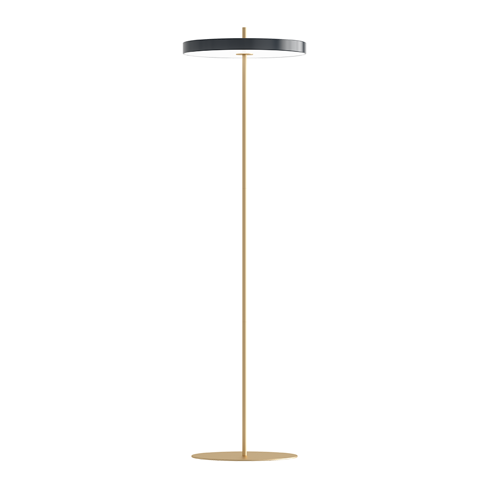 Asteria Floor Lamp, Anthracite