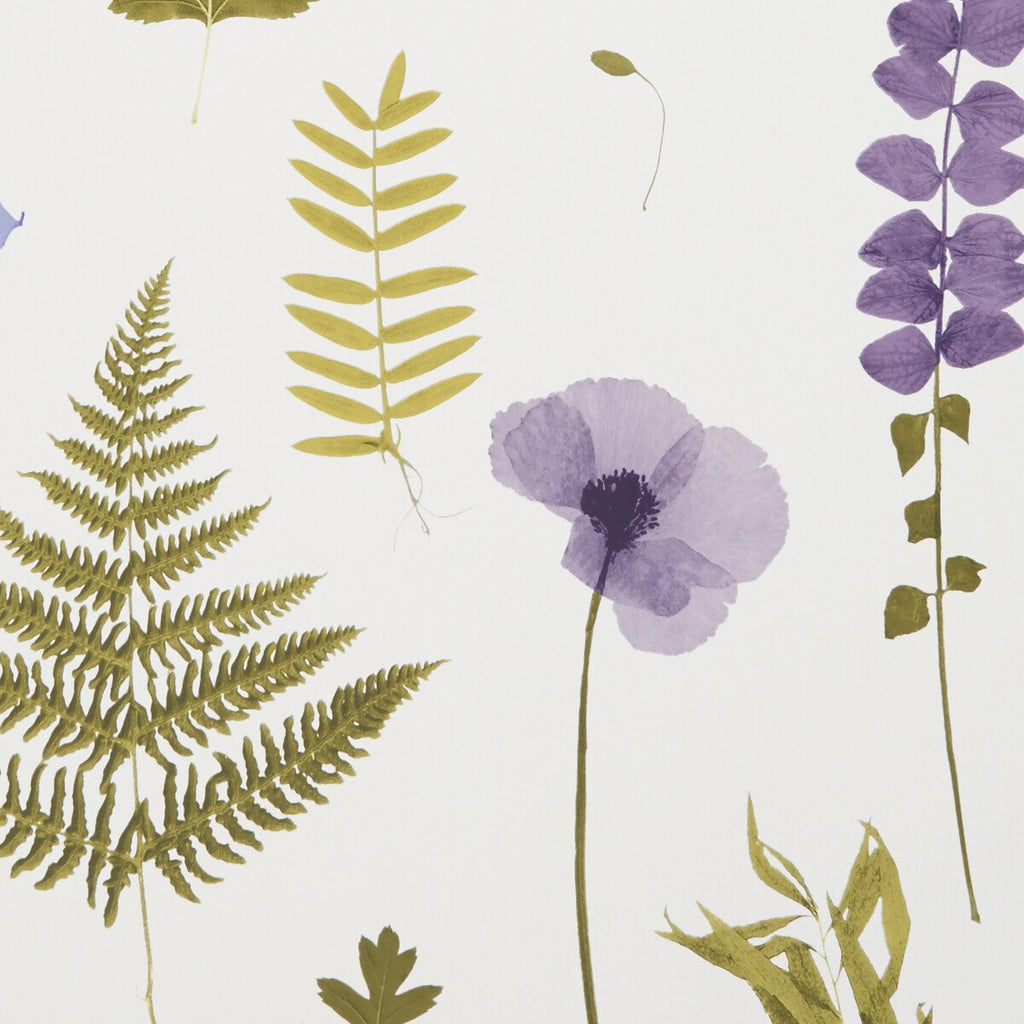 Herbarium - Heather