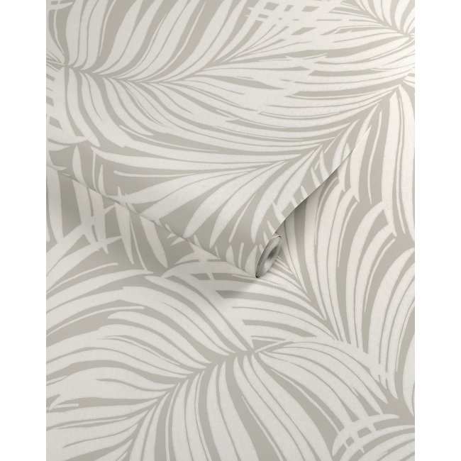 Palm Leaf Wall Paper