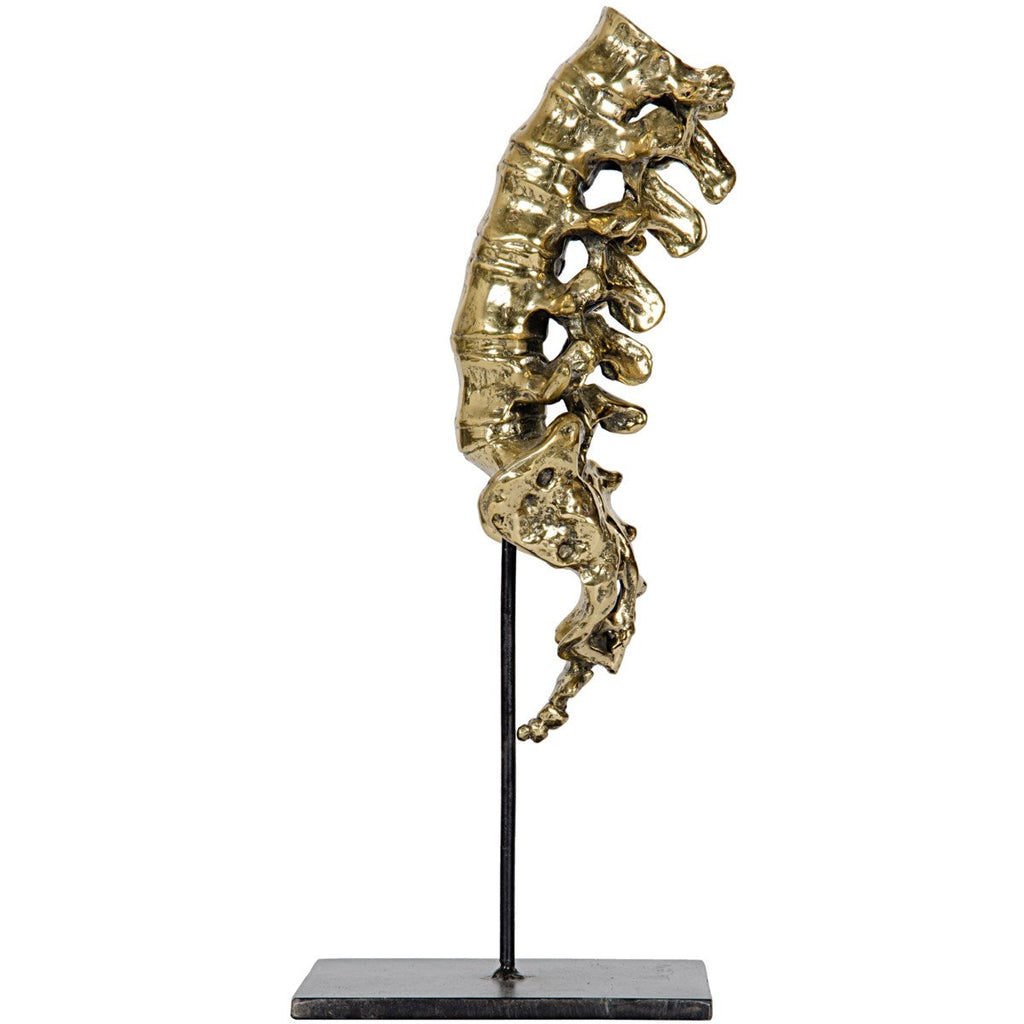 Vertebrae, Brass and Metal