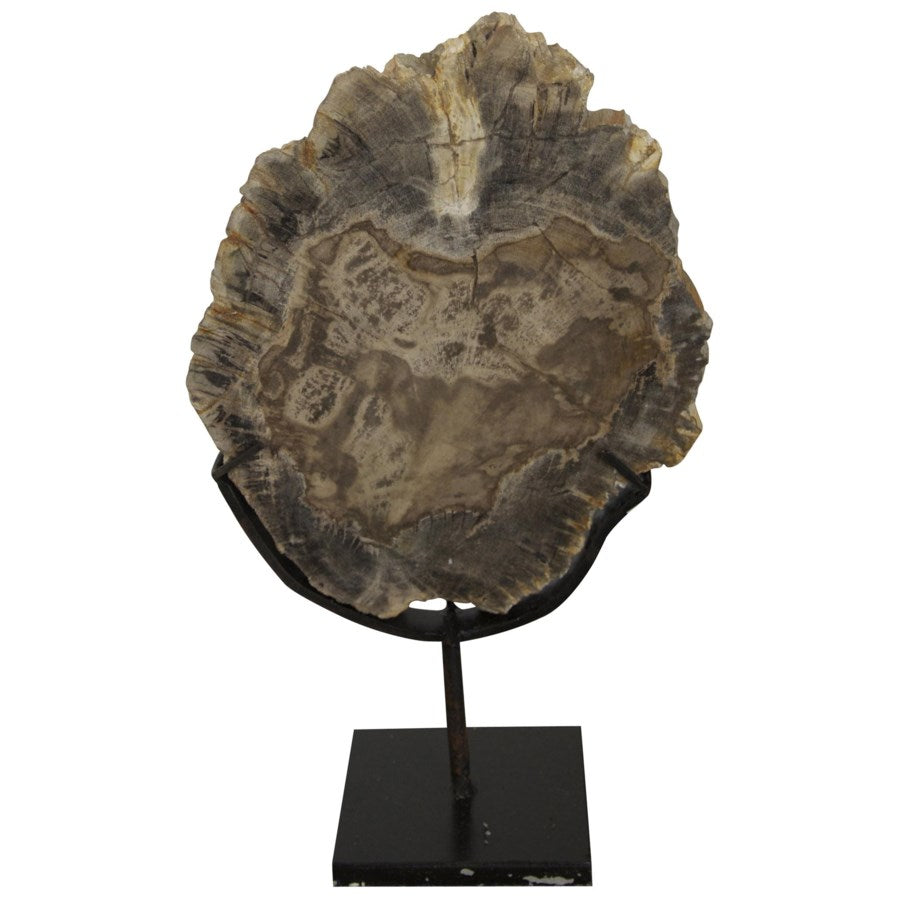 Wood Fossil with Stand, 8"