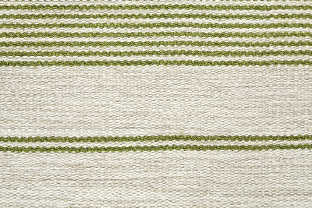 Duprine Transitional Stripes Green Ivory Area Rug (2' x 3')