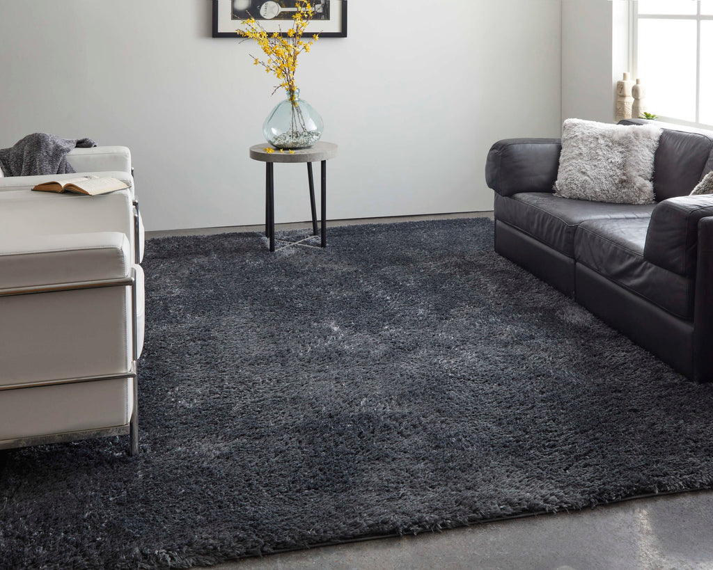 Darian Modern Solid Black Area Rug (2' x 3')