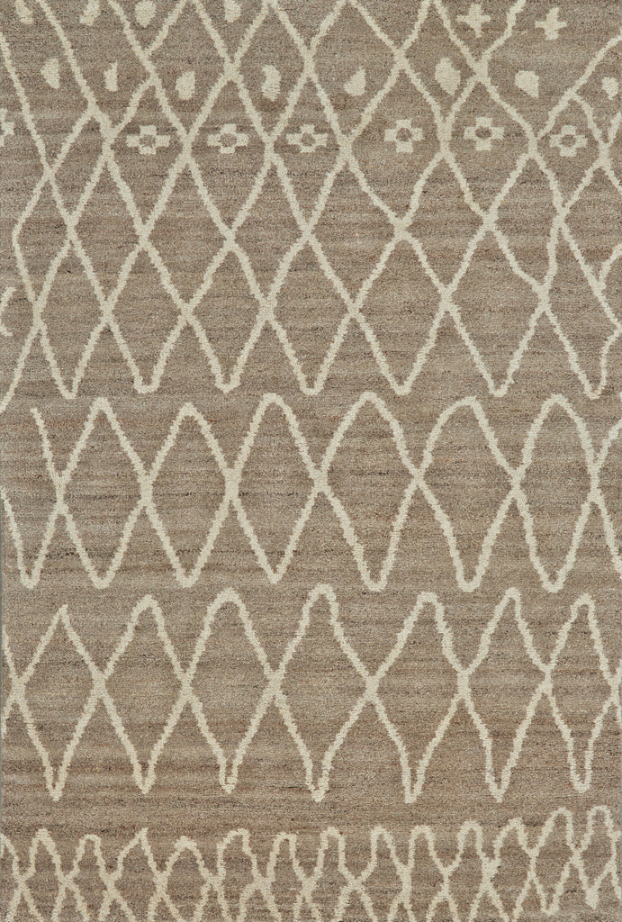 Barbary Transitional Trellis Lattice Brown Tan Area Rug (7'9" x 9'9")